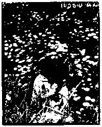 Edward Steichen, Nell (Steichen's Granddaughter) In a Daisy Field, ca. 1932, silver print.