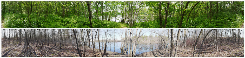 Path to River, Durham River Park June and April (dual 360 degree views), 2010