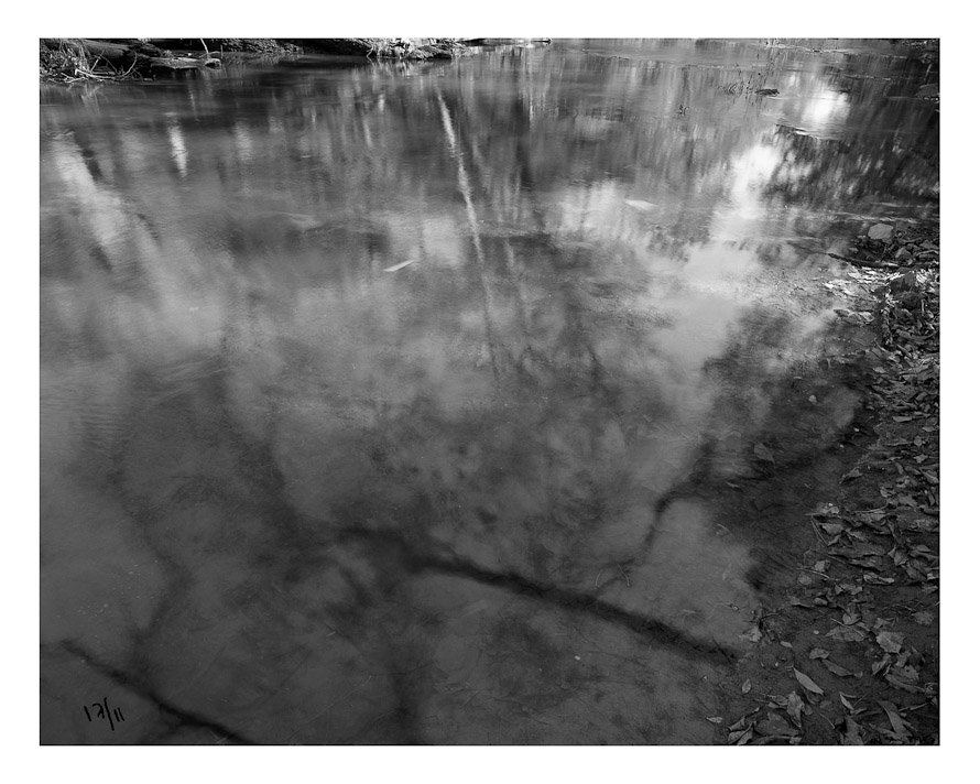 Reflection 2, Reedy Creek, Richmond, 2011