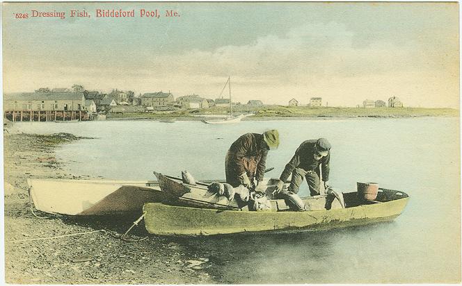 Biddeford Pool