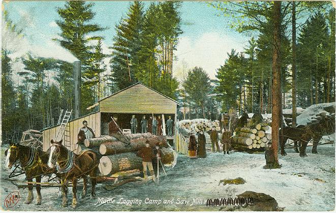 Logging Camp