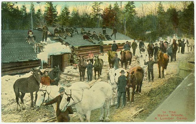 Lumber Camp