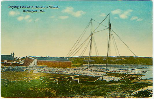 Drying fish, Bucksport