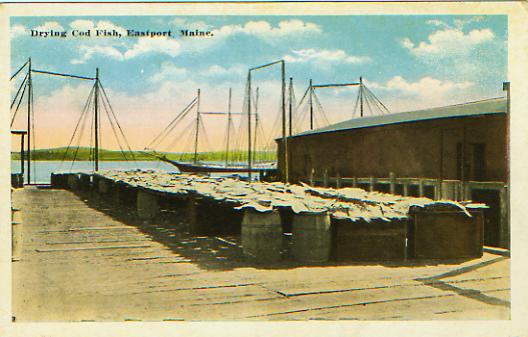 Drying cod fish, Eastport